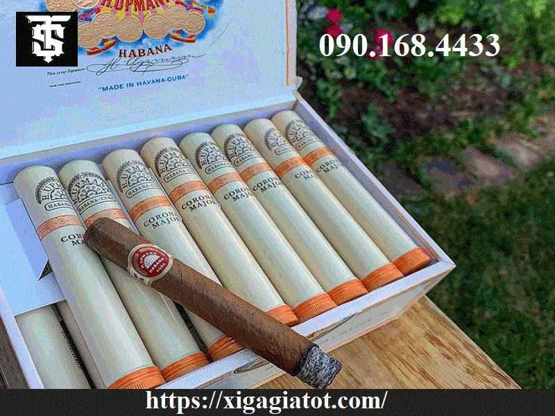 Xì gà H Upmann giá tốt - 0901684433