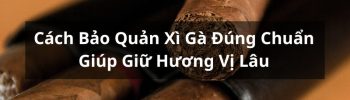 Cách bảo quản xì gà đúng chuẩn