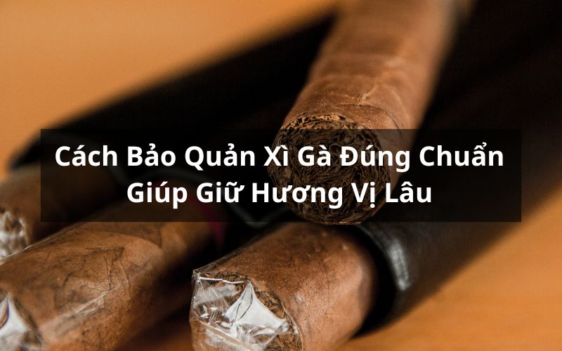 Cách bảo quản xì gà đúng chuẩn