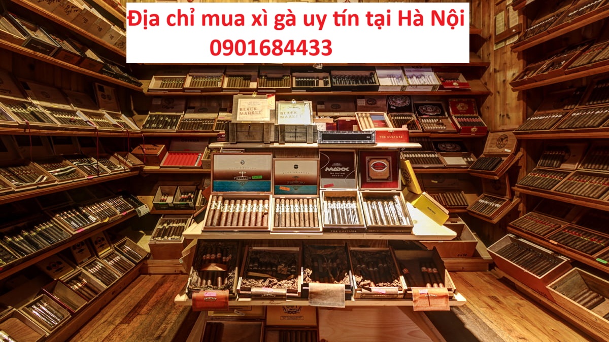 Địa chỉ mua xì gà uy tín tại Hà Nội - 0901684433