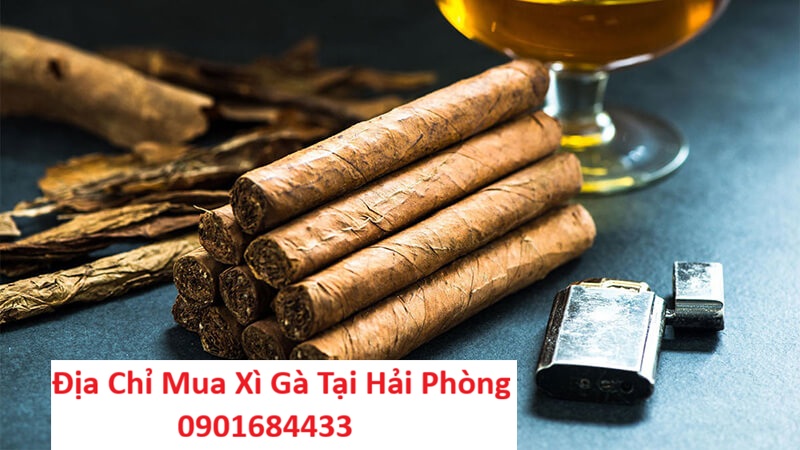 Địa chỉ mua xì gà tại Hải Phòng - 0901684433