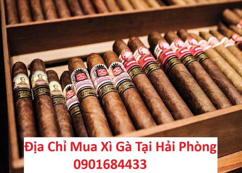 Địa chỉ mua xì gà tại Hải Phòng - 0901684433