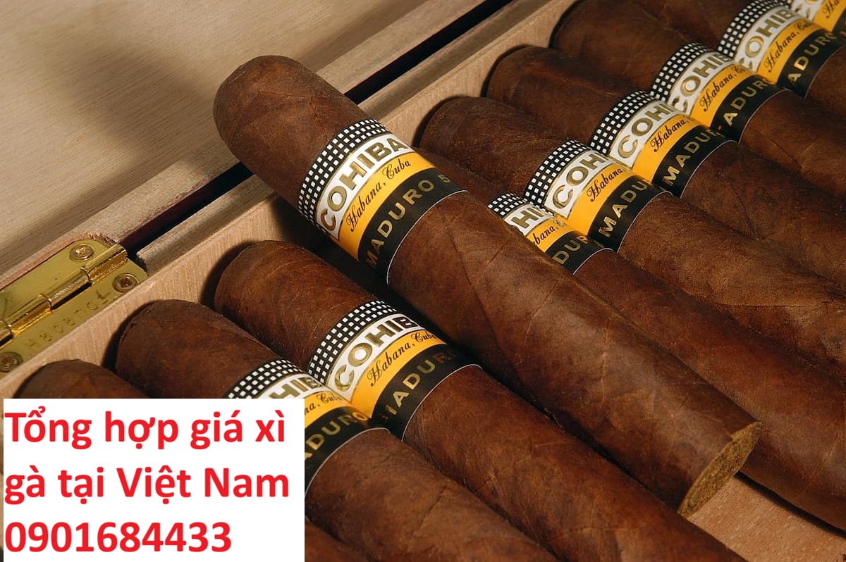 Tổng hợp giá xì gà tại Việt Nam - Đặt mua xì gà Online: 0901684433