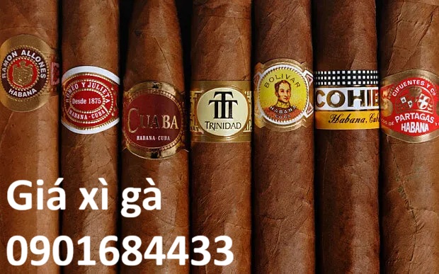 Tổng hợp giá xì gà tại Việt Nam - Đặt mua xì gà Online: 0901684433