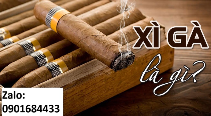 Xì gà là gì? Đặt mua online - Hotline/Zalo: 0901684433