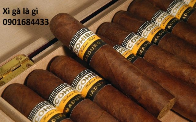 Xì gà là gì? Đặt mua online - Hotline/Zalo: 0901684433