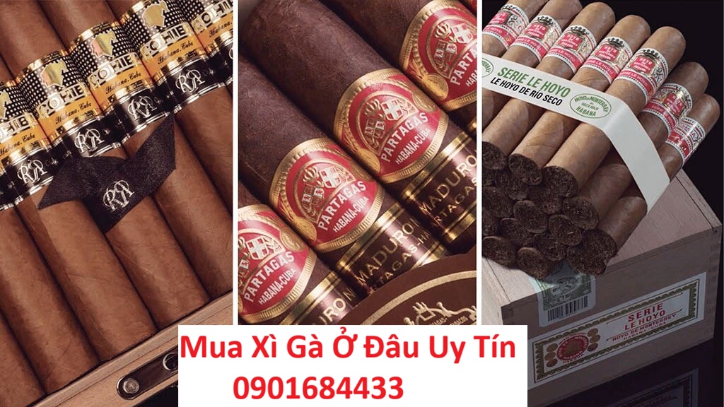 Mua Xì Gà Ở Đâu Uy Tín - Hotline đặt mua: 0901684433