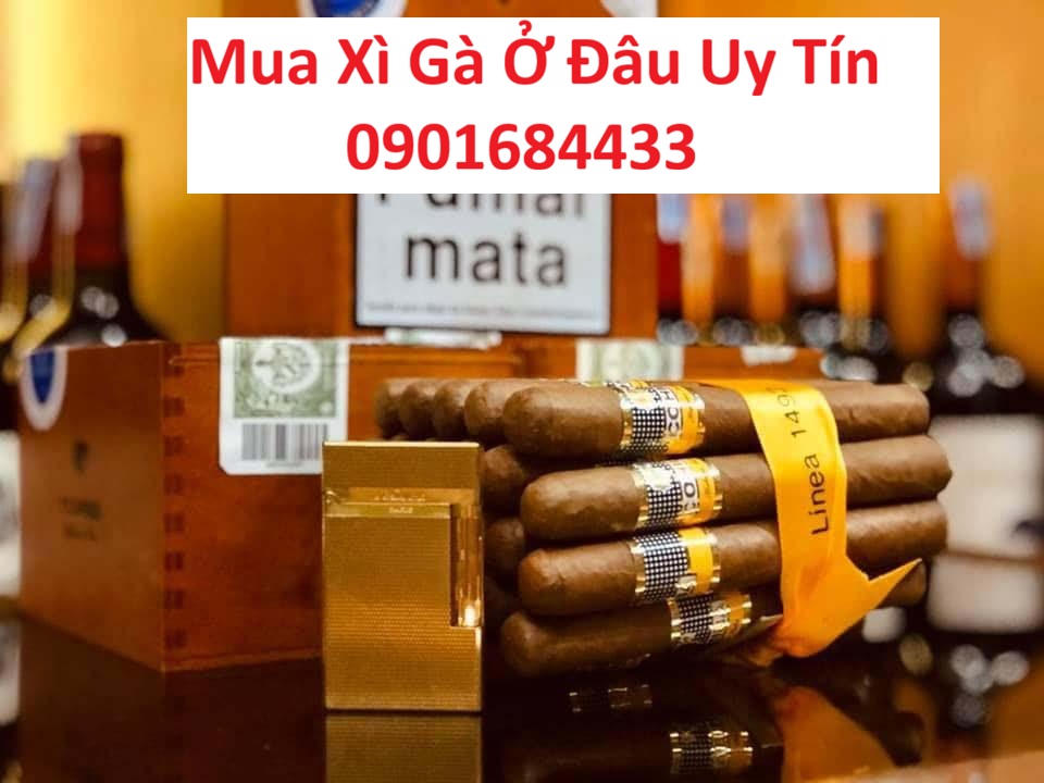 Mua Xì Gà Ở Đâu Uy Tín - Hotline đặt mua: 0901684433