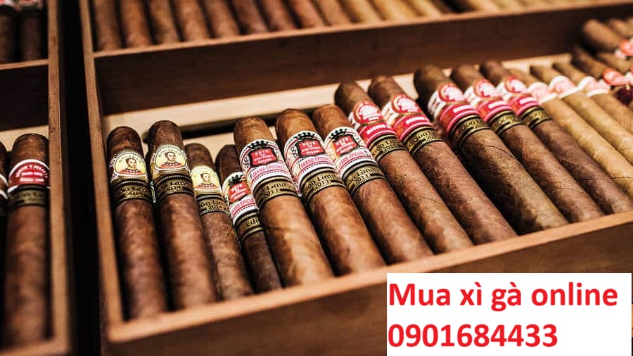 Mua xì gà online có an toàn không - Đặt mua: 0901684433