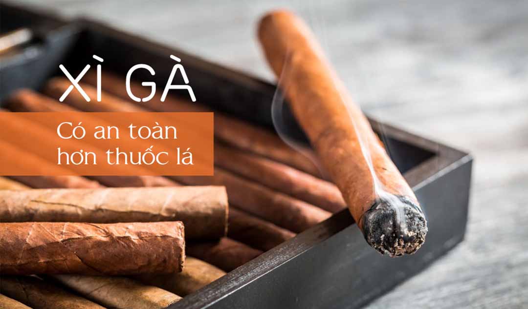 So sánh xì gà và thuốc lá - Đặt mua xì gà online: 0901684433