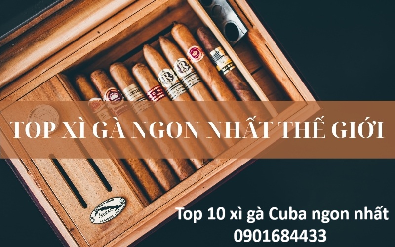 Top 10 xì gà Cuba ngon nhất - Đặt mua Online: 0901684433