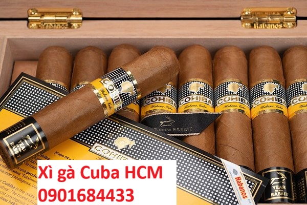 Địa chỉ mua xì gà Cuba HCM - Đặt mua: 0901684433