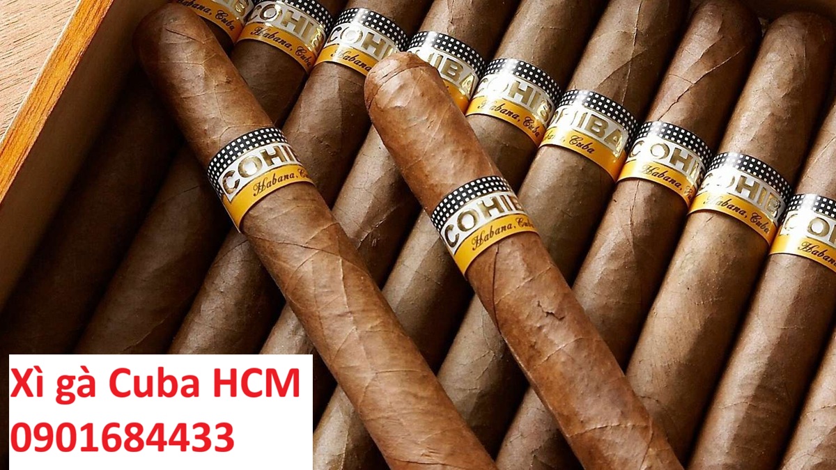 Địa chỉ mua xì gà Cuba HCM - Đặt mua: 0901684433