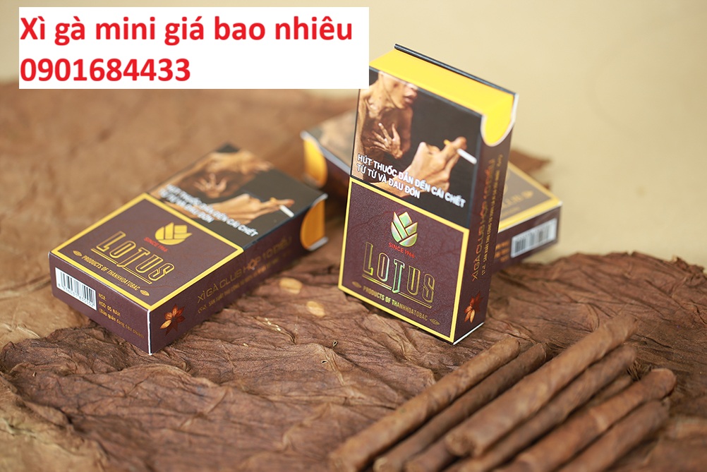 Xì gà mini giá bao nhiêu - Đặt mua: 0901684433
