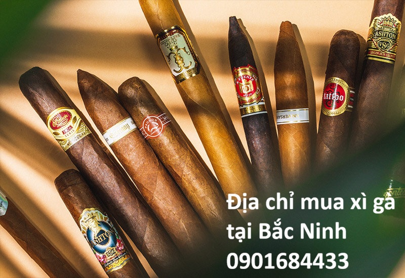 Địa chỉ mua xì gà tại Bắc Ninh - Hotline: 0901684433