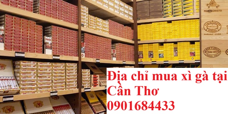 Địa chỉ mua xì gà tại Cần Thơ uy tín chính hãng - Hotline: 0901684433