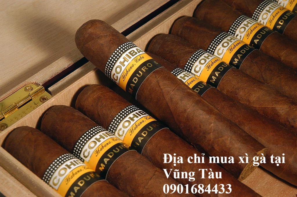 Địa chỉ mua xì gà tại Vũng Tàu - 0901684433