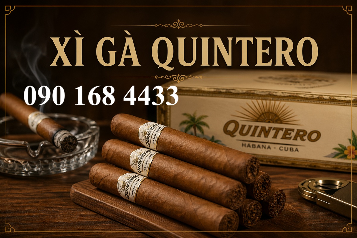 Xì gà Quintero là gì? Cách hút - Đặt mua: 0901684433